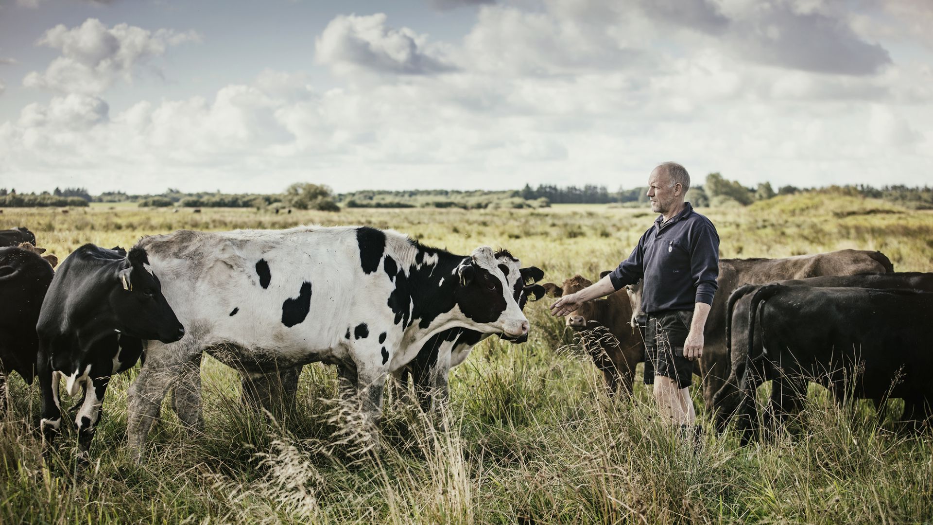 Mælkebonde Jens Krogh fra Ølgod i Vestjylland 