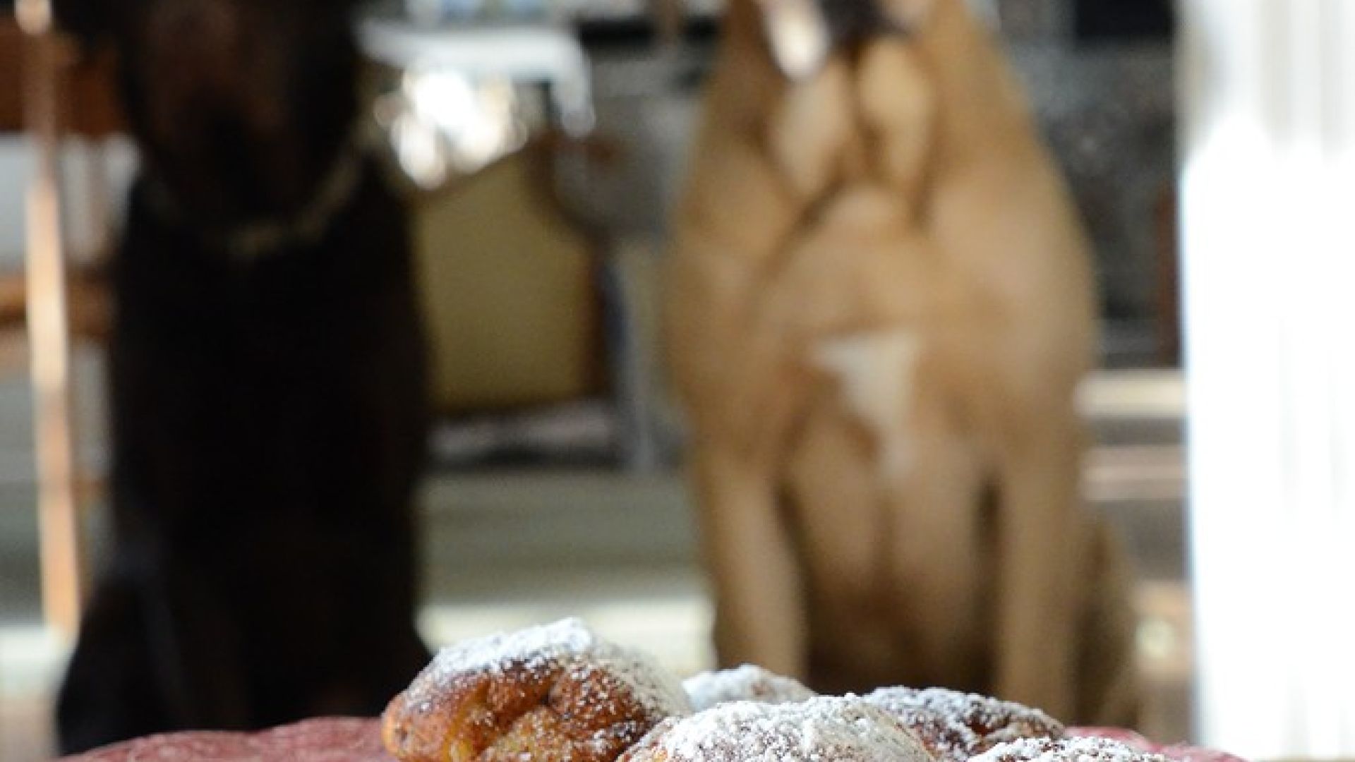 hunde og æbleskiver