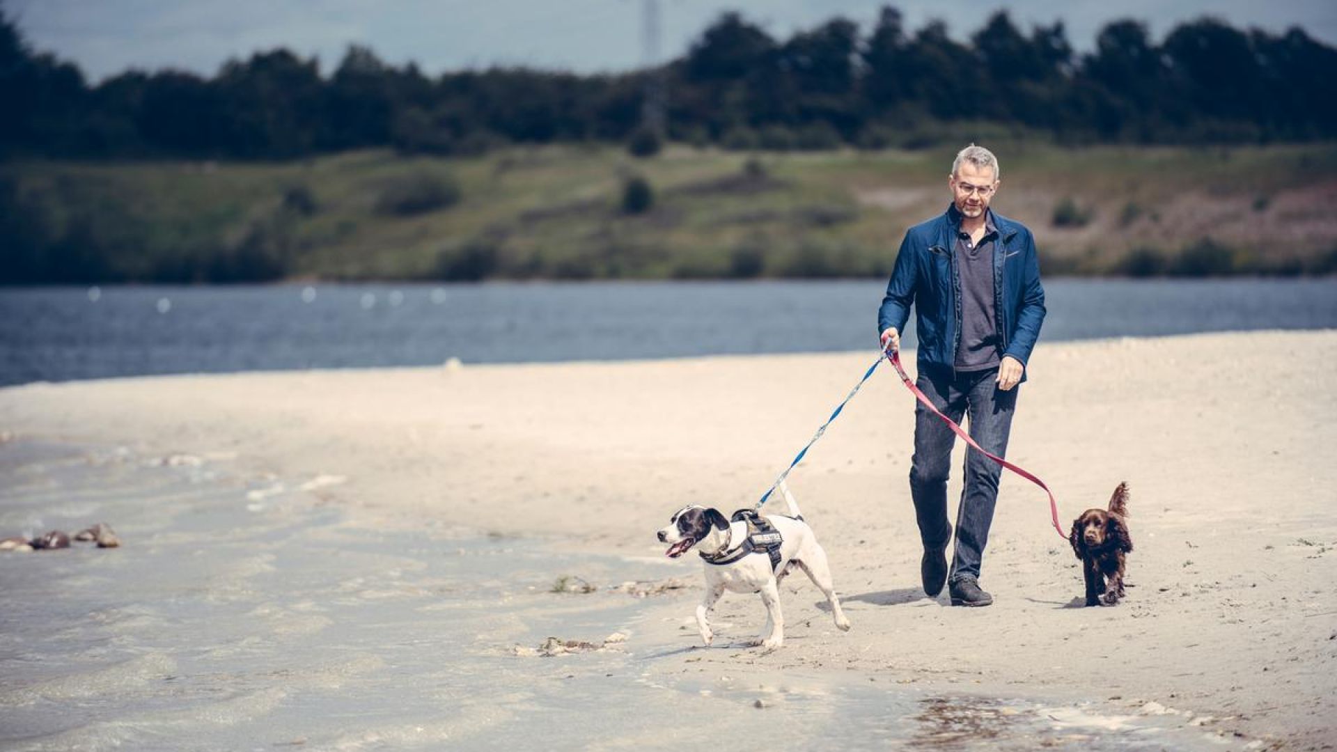 Fra 1. april skal hunden have snor på når I går tur på stranden