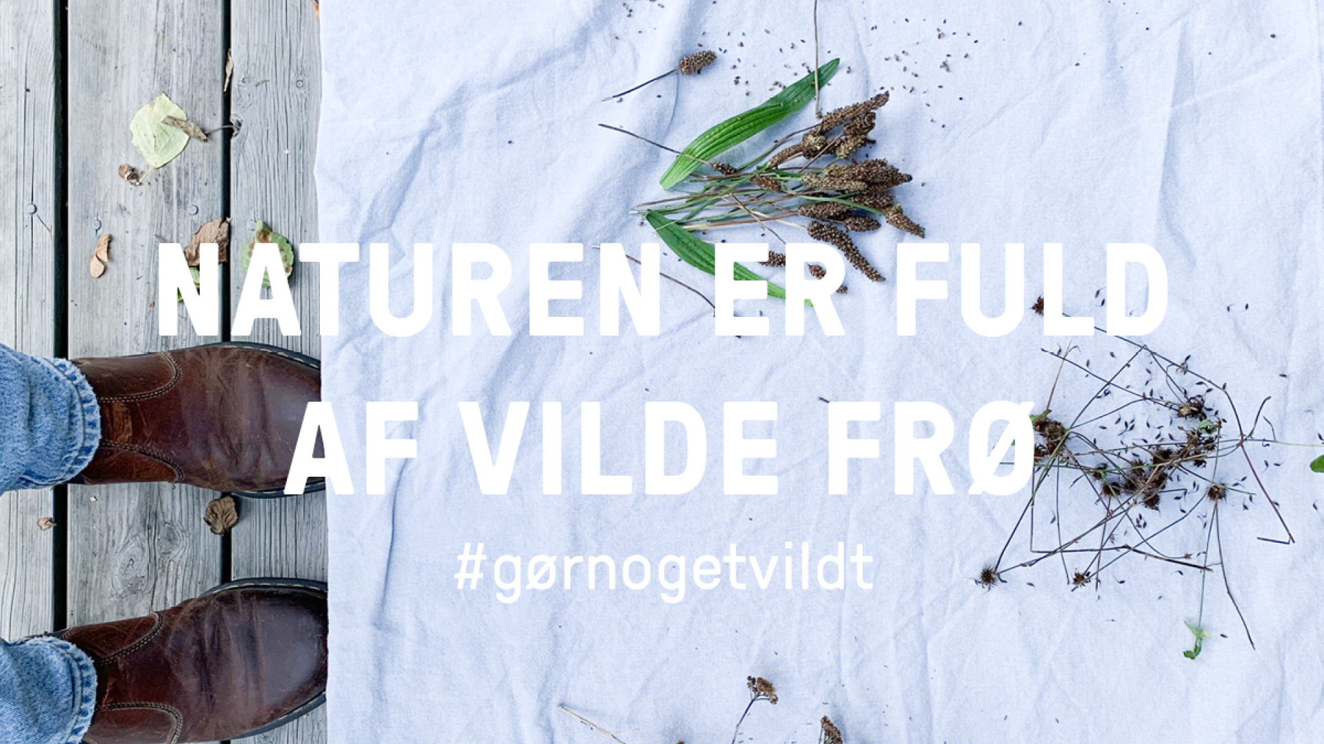 Naturen er fuld af vilde frø