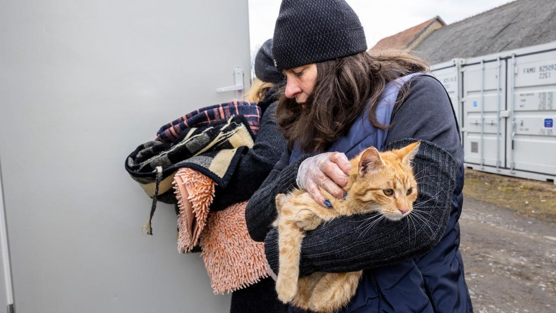 En herreløs kat er ankommet til modtagecenteret ved Medyka. Fremover kan dyrene få hjælp af dyrlæger fra Dyrenes Beskyttelse. Foto: Kristian Brasen Kat