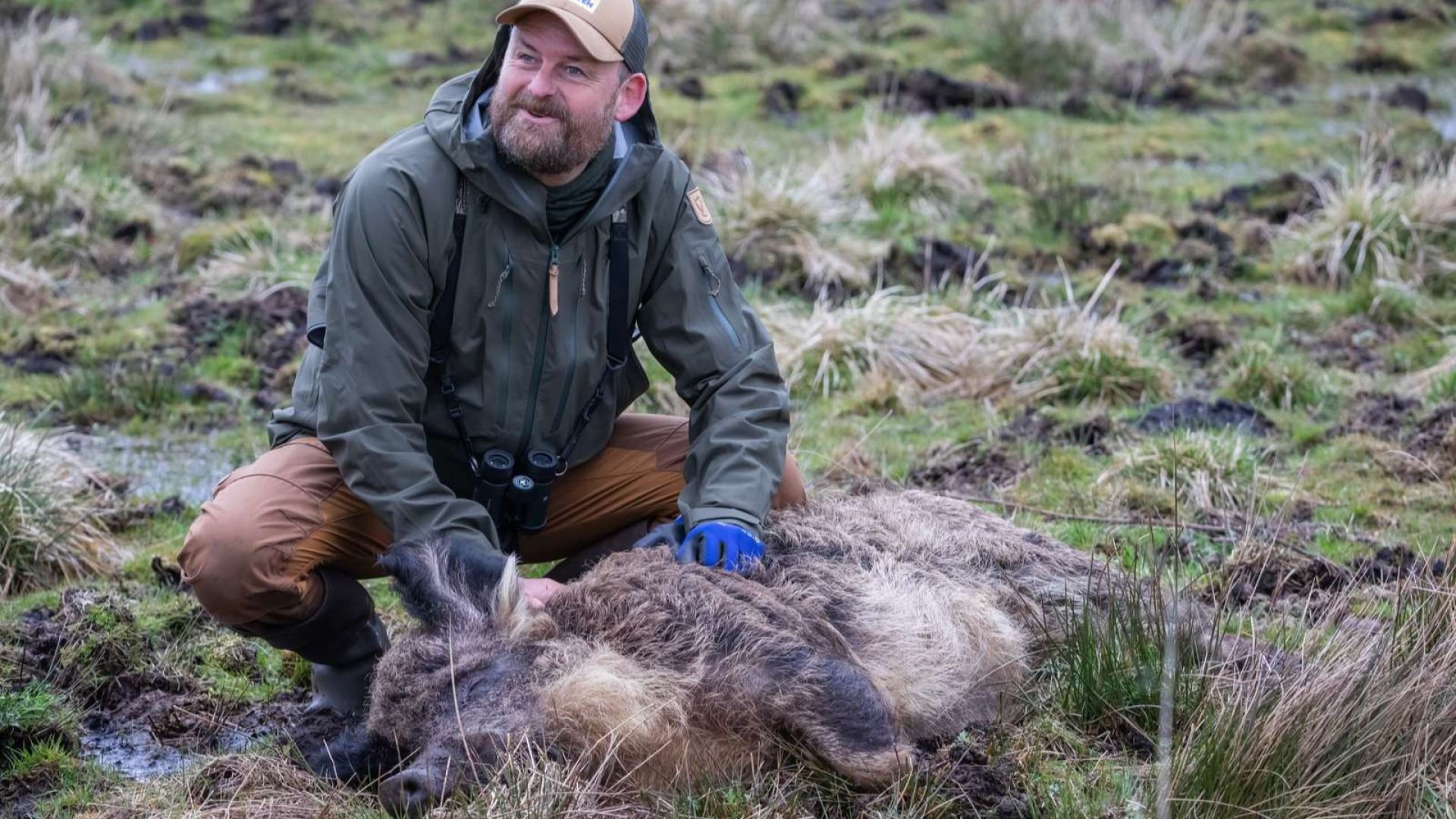 Martin Sandager med en af sine ungarske uldgrise. Foto: Dyrenes Beskyttelse 