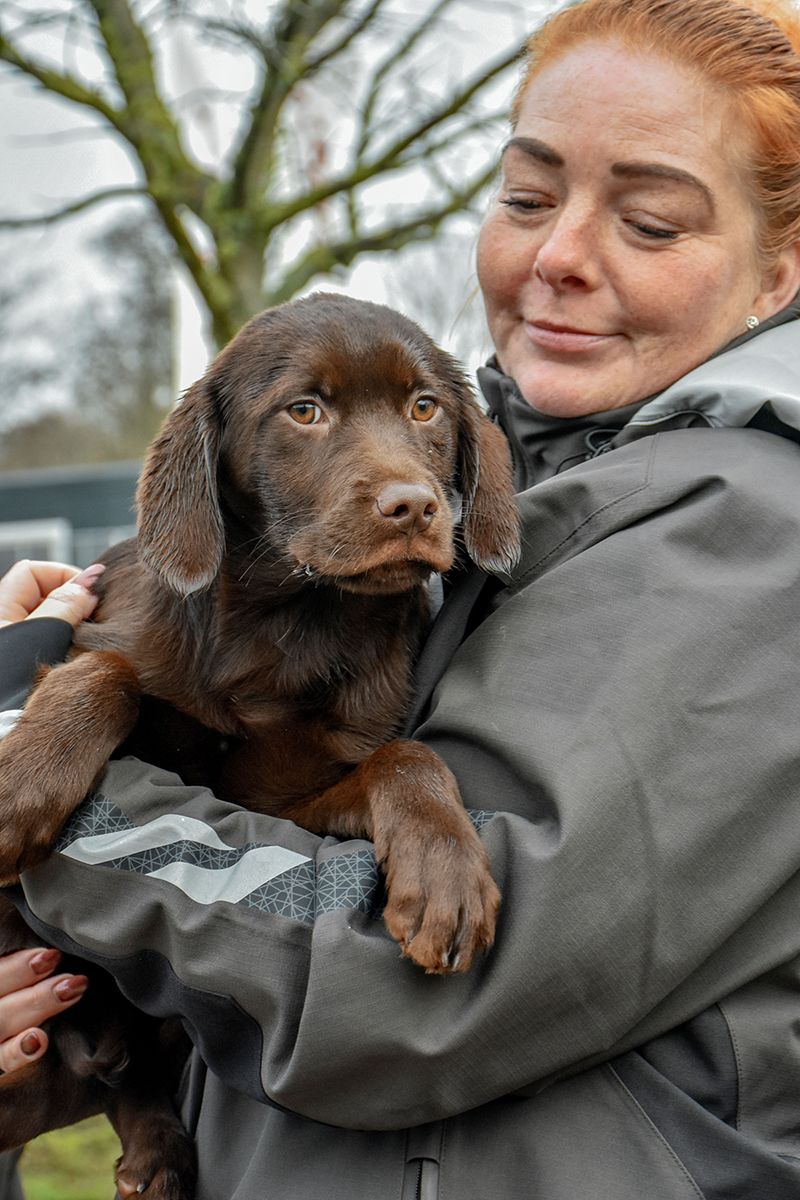 Hund i armene på medarbejder fra Dyrenes Beskyttelse