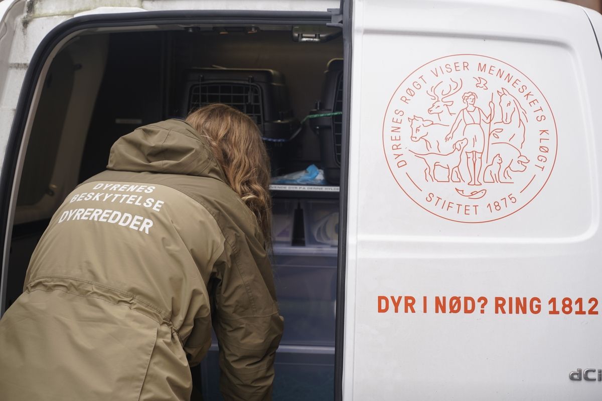 Dyreredder i dyreambulance